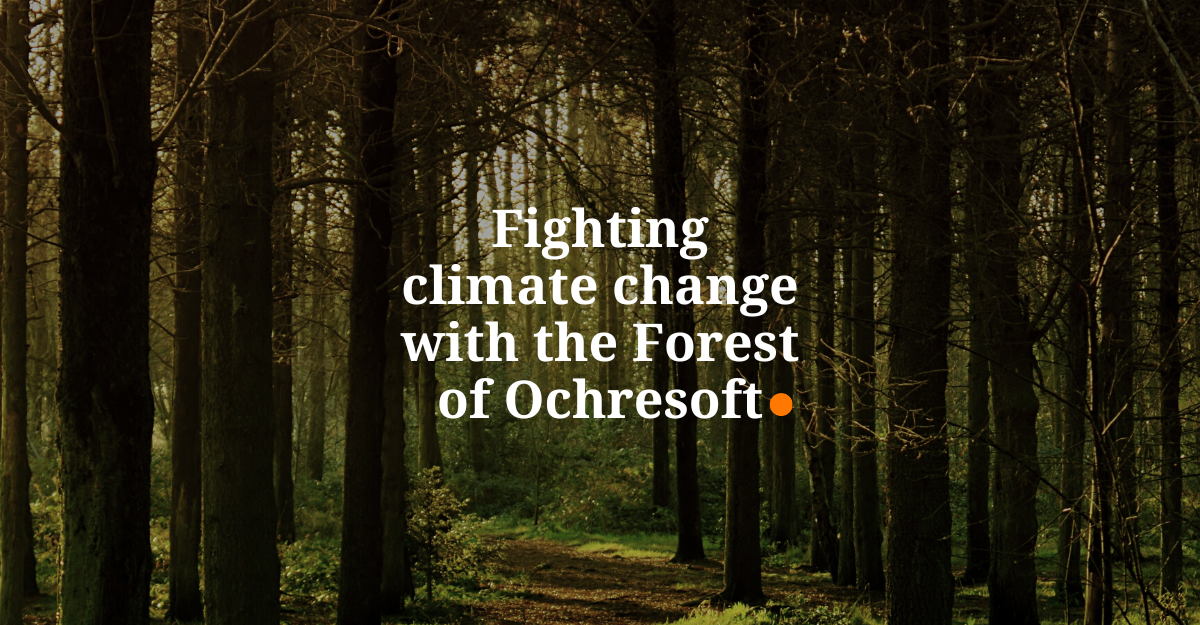 Fighting climate change with the Forest of Ochresoft
